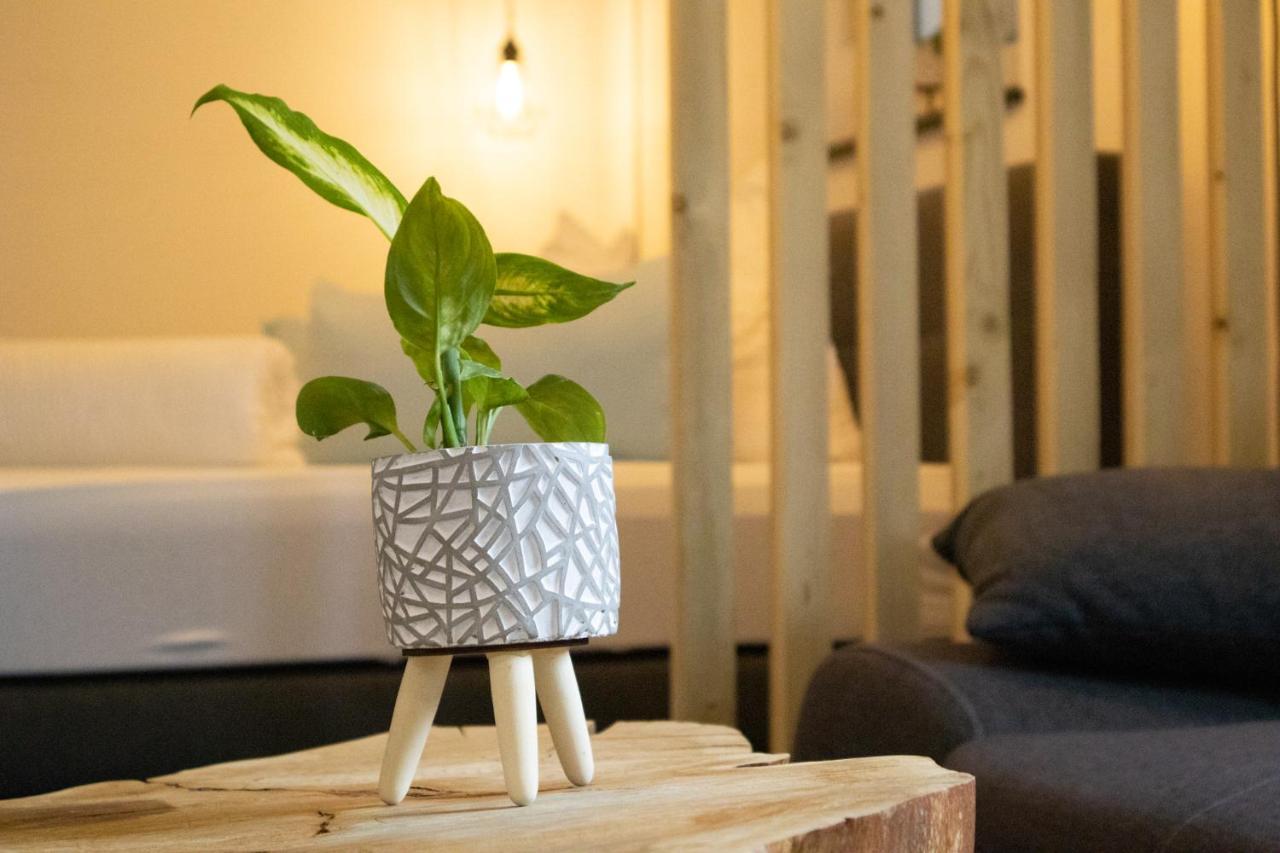 Am Seewald - Ferienwohnung Am Bodensee FDH Eksteriør billede